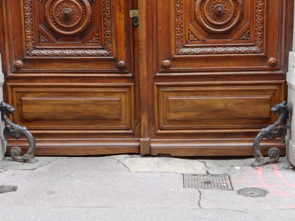 renovation-porte-immeuble-lyon